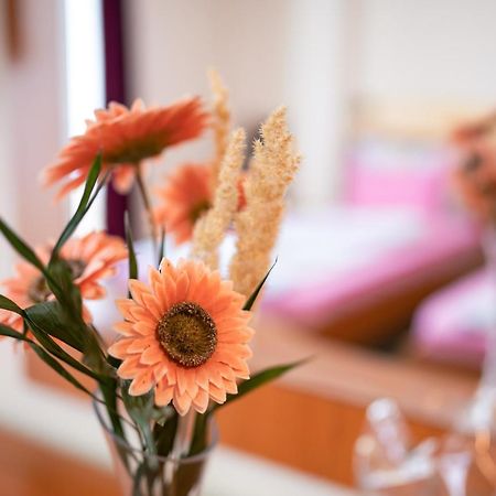 أوهغيد Hotel Holiday-M المظهر الخارجي الصورة